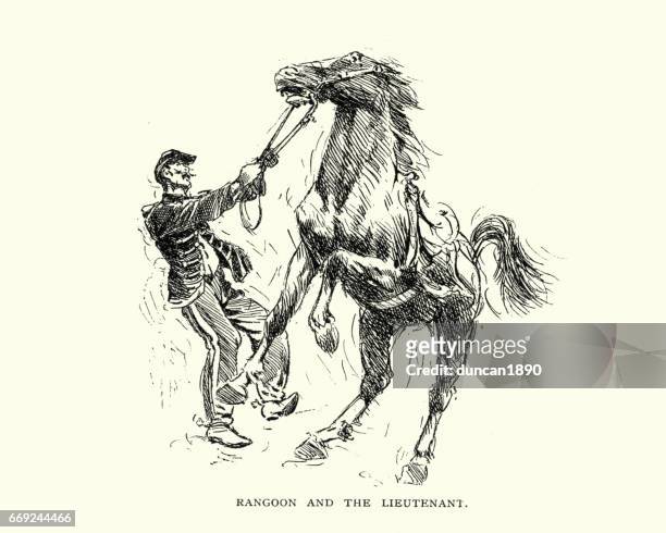 ilustraciones, imágenes clip art, dibujos animados e iconos de stock de jinete con las riendas de su caballo - human attribute
