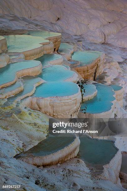 spring water in stepped travertine terraces - pamukkale stock pictures, royalty-free photos & images