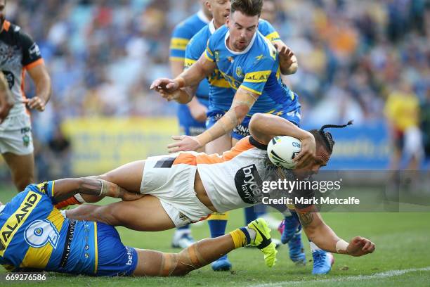 Sauaso Sue of the Tigers scores a try during the round seven NRL match between the Parramatta Eels and the Wests Tigers at ANZ Stadium on April 17,...