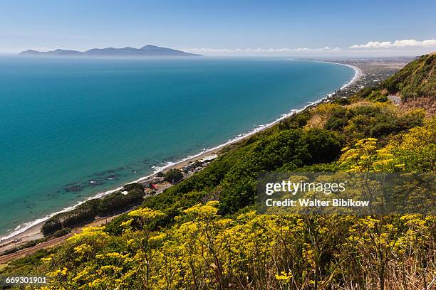 new zealand, north island, exterior - wellington new zealand stock pictures, royalty-free photos & images