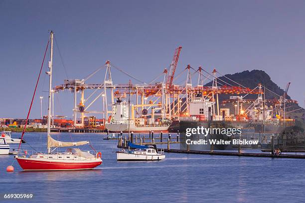 new zealand, north island, exterior - tauranga stock pictures, royalty-free photos & images