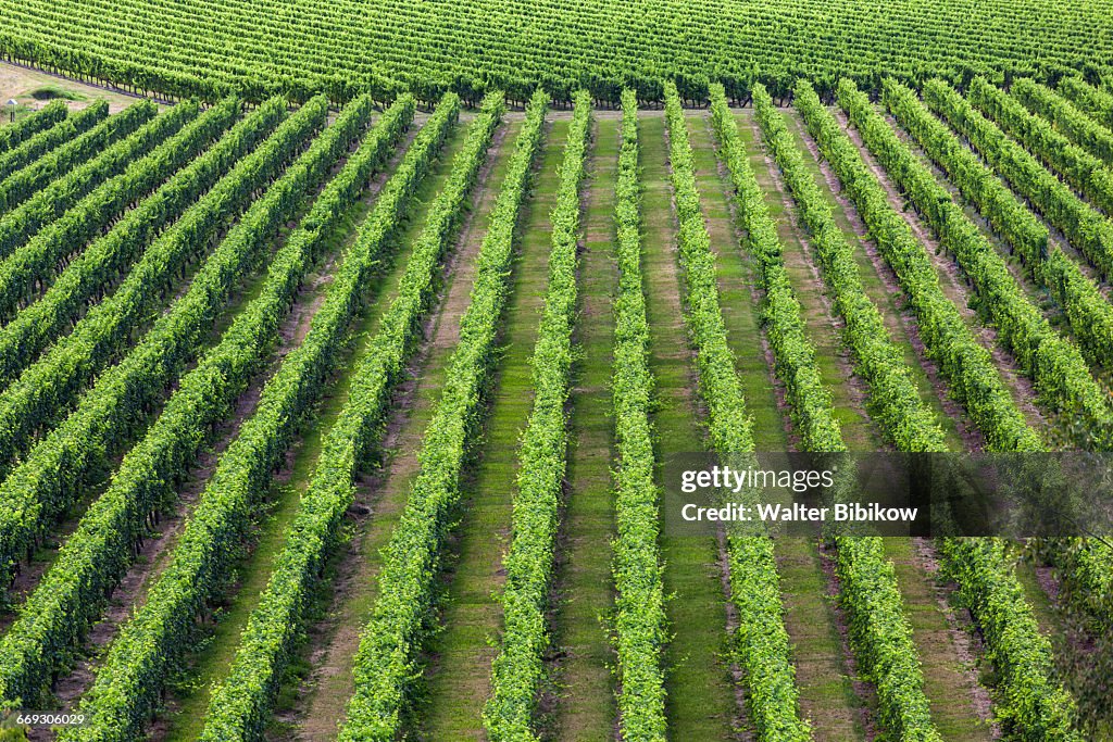 New Zealand, North Island, Exterior