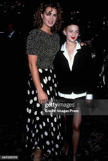 Brooke Shields and Drew Barrymore attend the 8th Annual Rita Hayworth Gala to benefit the Alzheimer's Foundation held at Tavern on the Green circa...