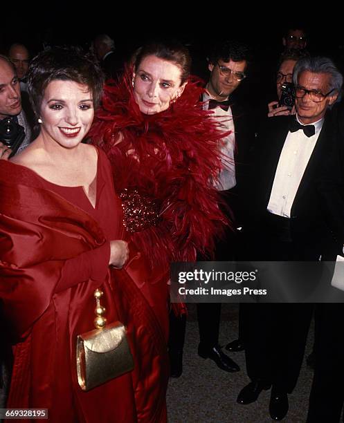 Liza Minnelli, Audrey Hepburn and Richard Avedon attend the 8th Annual Council of Fashion Designers of America Awards at the Metropolitan Museum of...