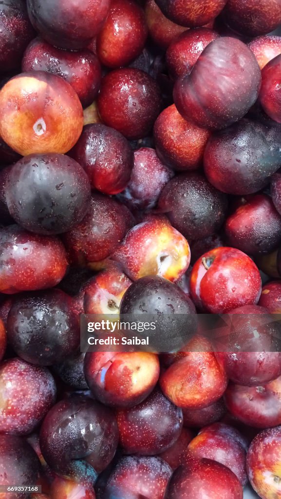 Red and Black Plums