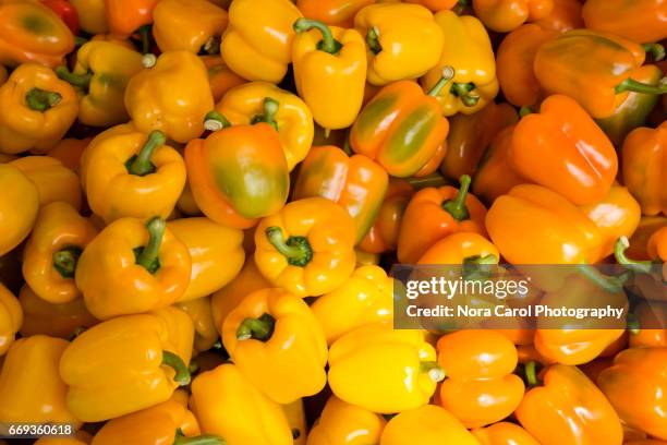 yellow capsicum - oranje paprika stockfoto's en -beelden