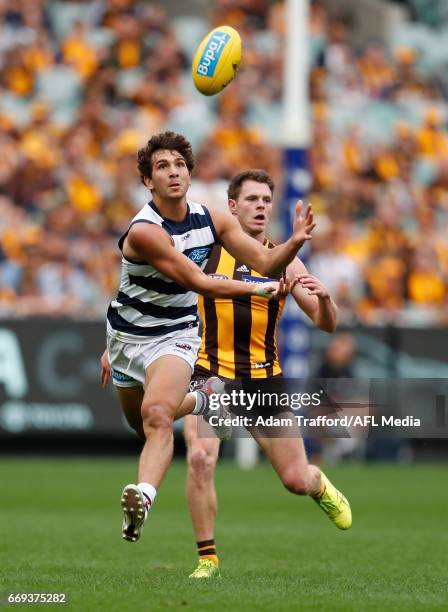 Nakia Cockatoo of the Cats marks the ball ahead of Blake Hardwick of the Hawks during the 2017 AFL round 04 match between the Hawthorn Hawks and the...