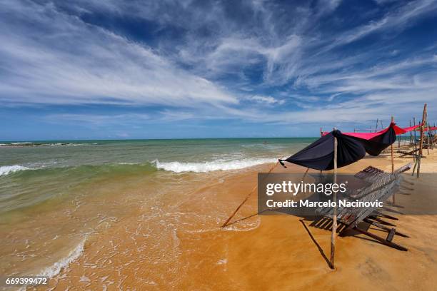 caraiva , bahia , brazil - imagem a cores ストックフォトと画像