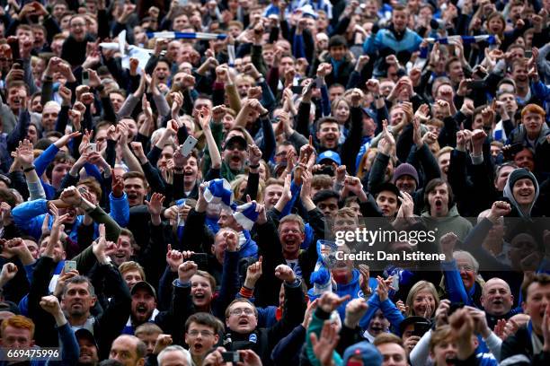 Brighton & Hove Albion fans celebrate on the pitch after their team's victory in the Sky Bet Championship match between Brighton & Hove Albion and...