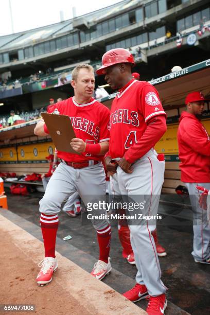 Cliff Pennington and Infield Coach Alfredo Griffin of the Los Angeles Angels of Anaheim talk in the dugout prior to the game against the Oakland...