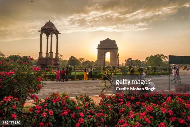 dusk at india gate with flowers in foreground - india gate photos et images de collection