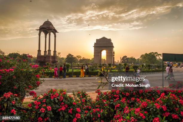 dusk at india gate with flowers in foreground - india gate ストックフォトと画像