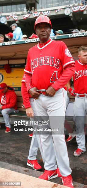 Infield Coach Alfredo Griffin of the Los Angeles Angels of Anaheim stands in the dugout prior to the game against the Oakland Athletics at the...