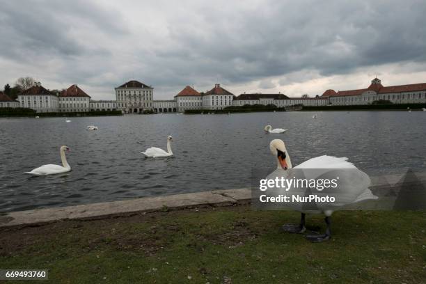 The park of Nymphenburg Castle in Munich, southern Germany on April 17, 2017. The palace was commissioned by the couple composed by Ferdinand Maria...