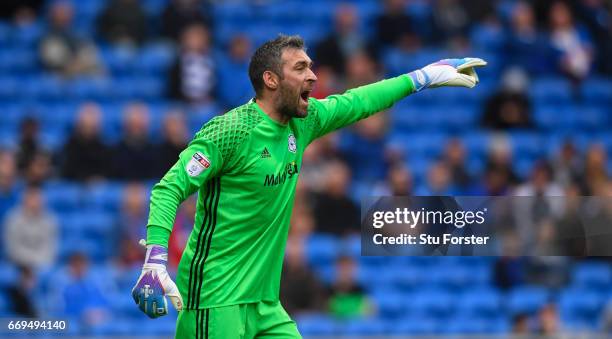 Cardiff goalkeeper Allan McGregor in action during the Sky Bet Championship match between Cardiff City and Nottingham Forest at Cardiff City Stadium...