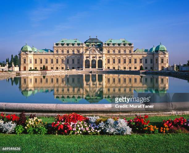 belvedere palace in vienna - palast stock-fotos und bilder