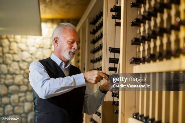 senior winemaker - wine rack stock pictures, royalty-free photos & images