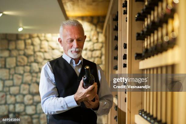 senior winemaker - connoisseur stock pictures, royalty-free photos & images