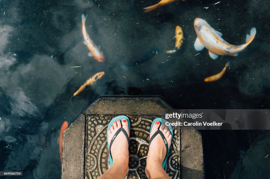 Woman standing on a stone in a koi pond