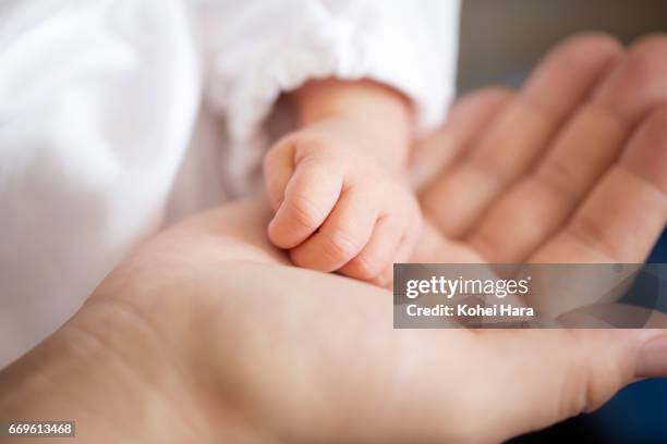 hands of newborn baby and mother - japanese baby photos et images de collection