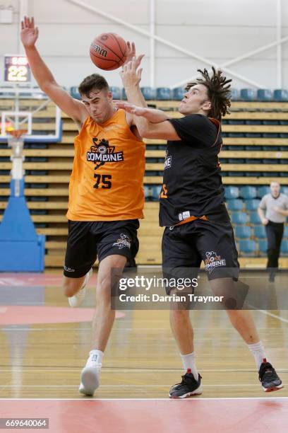 Mate Colina and Mitchell Newton compete for the ball during the NBL Combine 2017/18 at Melbourne Sports and Aquatic Centre on April 18, 2017 in...