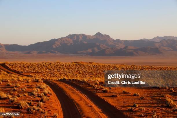 namibrand reserve, namibia - aussicht genießen 個照片及圖片檔