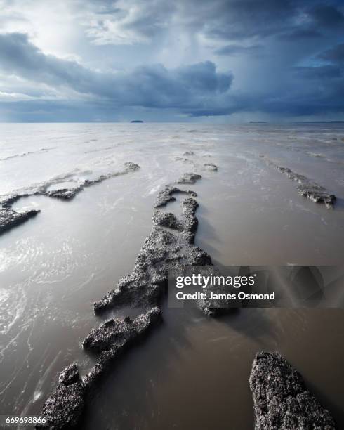 semi-submerged mudflats. - mud flat stock pictures, royalty-free photos & images