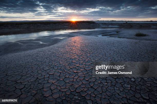 cracked mud. - riverbed stock pictures, royalty-free photos & images