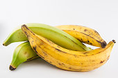 Plantain or Green Banana (Musa x paradisiaca)