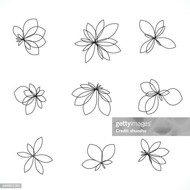 set of line style floral icon - flower detail leaf white stock illustrations