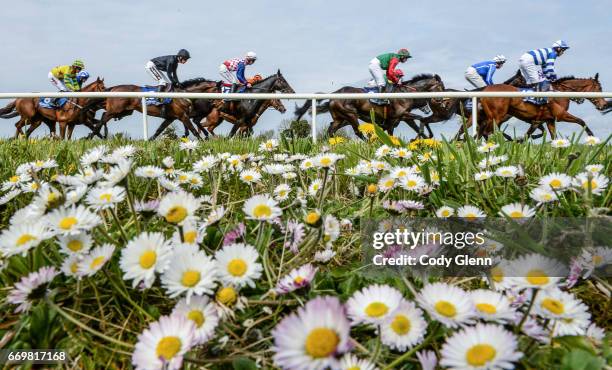 Meath , Ireland - 18 April 2017; A general view of the field on their first time round in the Lilly Bain Bathroom and Tiles Supporting Newry RFC...