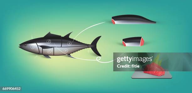 split up tuna fish and make sushi - yellowfin tuna stock illustrations