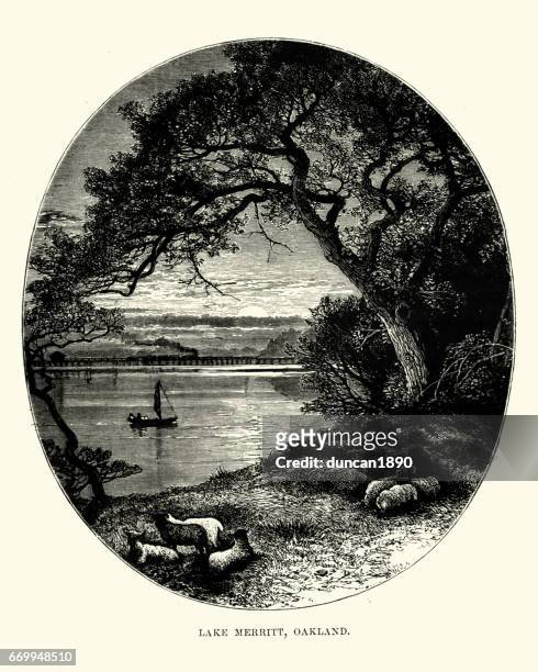 lake merritt, oakland, california, 19th century - oakland california stock illustrations