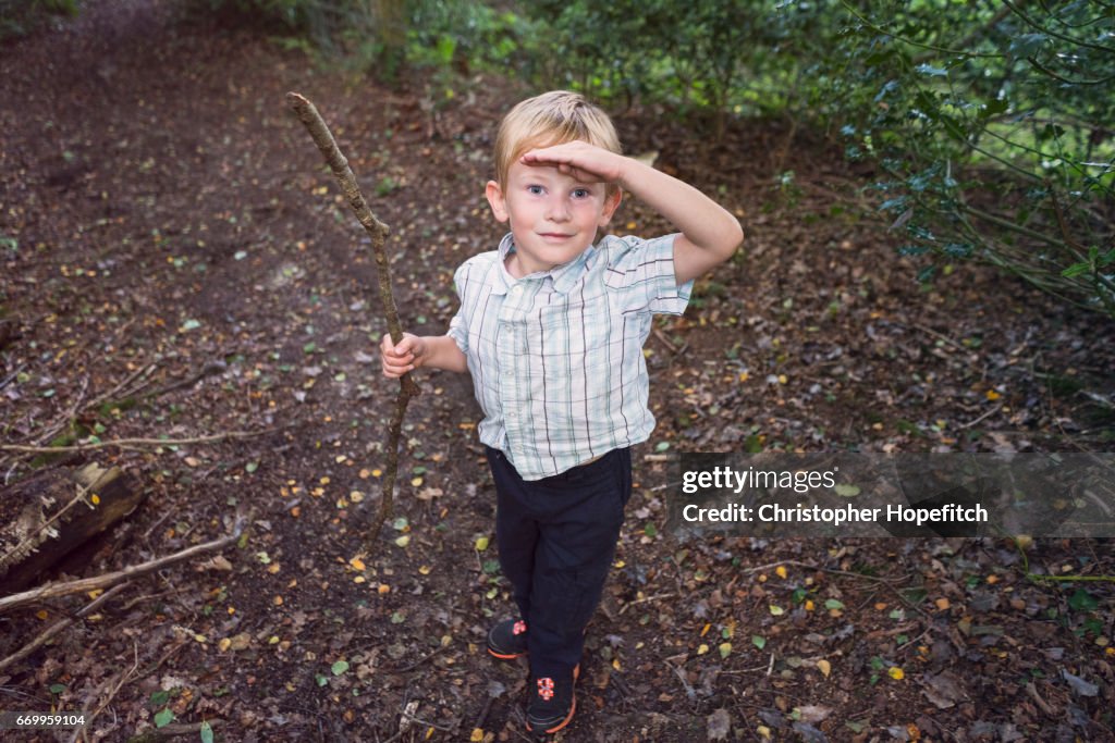 Young boy exploring woodland