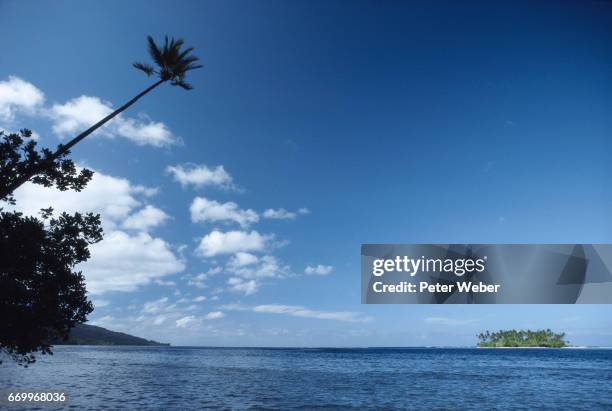 Tahiti Tropical Paradise, Stockfoto