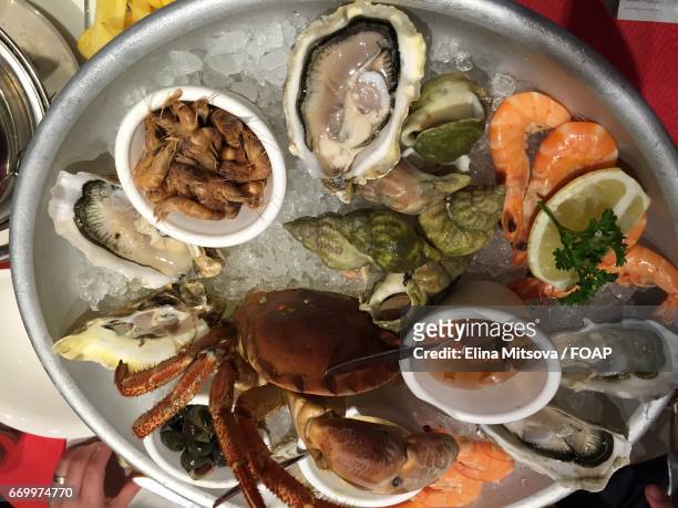 french seafood on platter - seafood platter bildbanksfoton och bilder