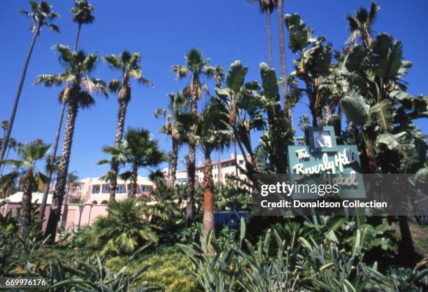 An exterior view of palm trees surrounding the Beverly Hills Hotel sign on Sunset Boulevard in September 1995 in Los Angeles, California.