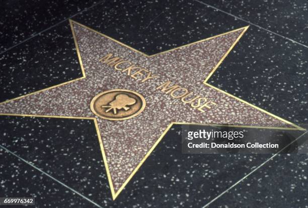 Mickey Mouse's star on the Hollywood Walk of Fame in January 1987 in Los Angeles, California.