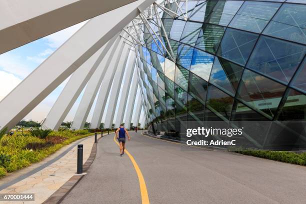 a athletic person is running through road in a modern city - loisir ストックフォトと画像