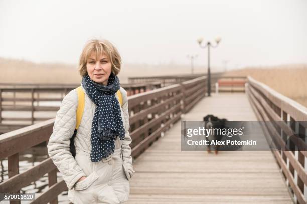 volwassen aantrekkelijke 50-jaar oude vrouw, wandelen met de hond op de promenade - 50 54 years stockfoto's en -beelden
