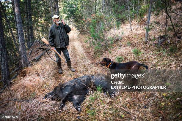 jäger im wald - dead dog stock-fotos und bilder