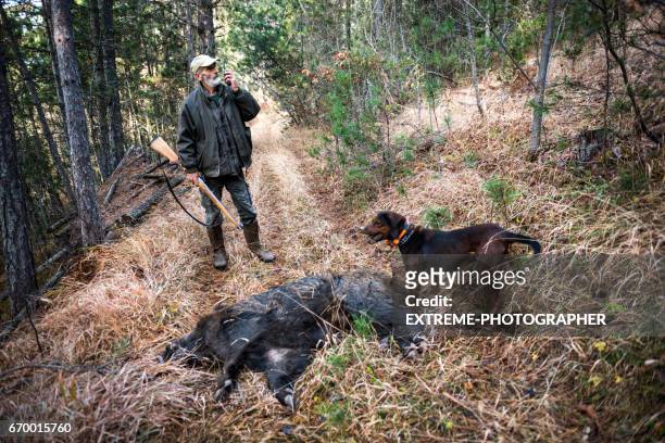 hunter in the woods - pig slaughtering stock pictures, royalty-free photos & images
