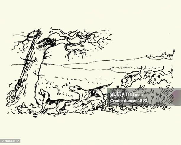 hounds chasing a fox up a tree, 19th century - dog chasing stock illustrations