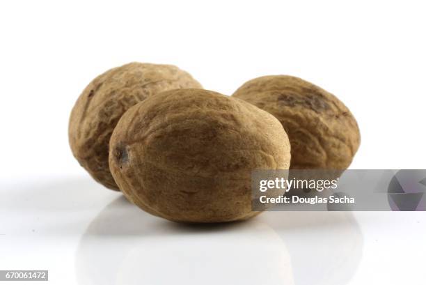 close-up of a nutmeg seeds (myristica fragrans) - african nutmeg stockfoto's en -beelden