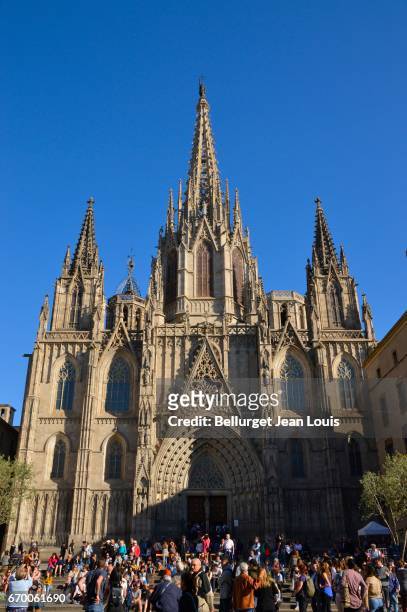 cathedral of barceleona - catalogna stock pictures, royalty-free photos & images