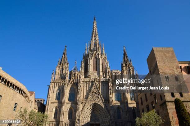 cathedral of barceleona - catalogna stock pictures, royalty-free photos & images