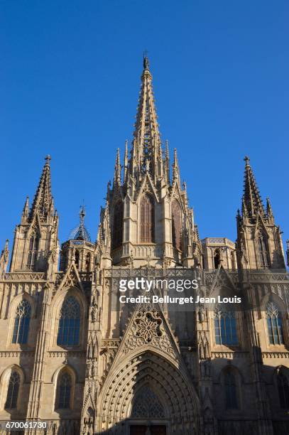 cathedral of barceleona - barcelona cathedral stock pictures, royalty-free photos & images