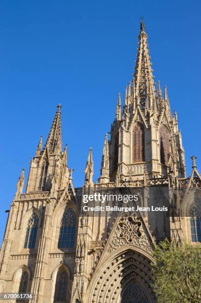 cathedral of barceleona - catalogna stock pictures, royalty-free photos & images