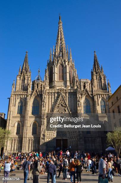 cathedral of barceleona - catalogna stock pictures, royalty-free photos & images