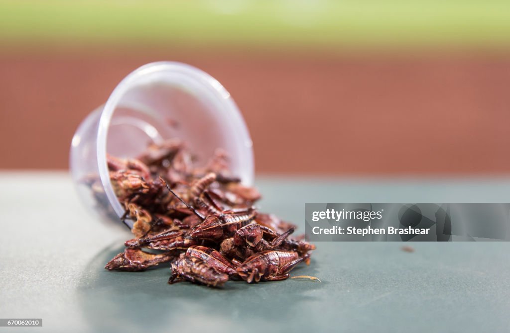Miami Marlins v Seattle Mariners